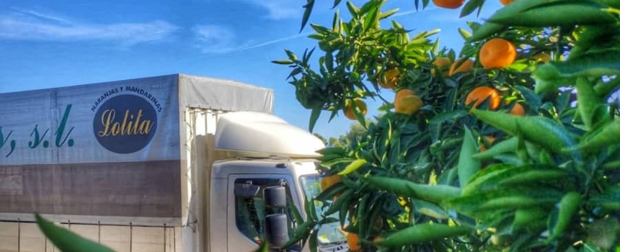 Tipos de Naranjas Valencianas