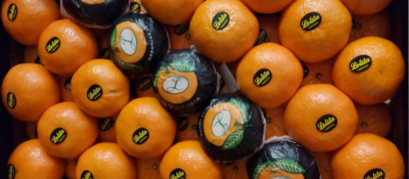 La Mandarina Orri: descubre una de las variedades más populares y prestigiosas